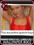Wallpaper Collection #002:<br />Used, abused, humiliated...